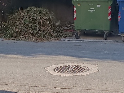 παρατημένα κομμένα κλαδιά  Ήρας