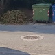παρατημένα κομμένα κλαδιά  Ήρας
