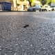 Επικίνδυνο σίδερο στη προεξέχει στην άσφαλτο  Αιγαίου