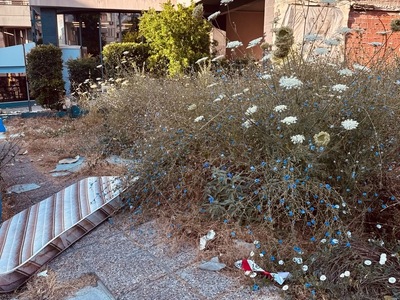 Μάζεμα Ογκώδη αντικείμενα  Δημοκρίτου