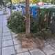 Τα εχετε ξεχασει  Κ Γκονη
