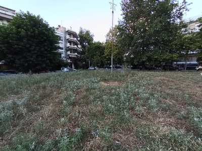 Καθαρισμός παρκου των Ρόδων  	Ηροδότου