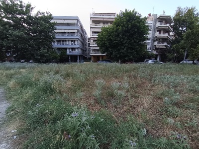 Καθαρισμός παρκου των Ρόδων  	Ηροδότου