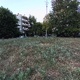 Καθαρισμός παρκου των Ρόδων   Ηροδότου