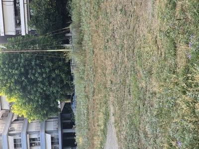 ΚΟΠΉ ΧΌΡΤΩΝ  ΠΛΑΤΕΊΑ ΡΟΔΩΝ  	Πατριάρχου Γρηγορίου