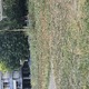 ΚΟΠΉ ΧΌΡΤΩΝ  ΠΛΑΤΕΊΑ ΡΟΔΩΝ   Πατριάρχου Γρηγορίου