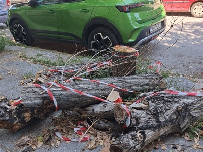 Αφησαν Μετα κλαδεμα  οδοκαθαρισμο    Αγ παντελεημονος
