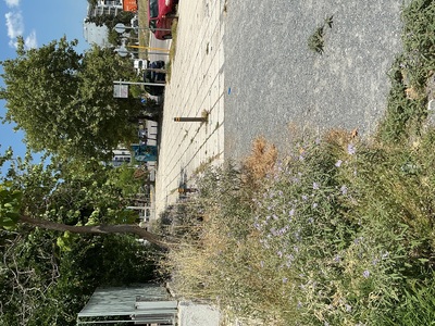 Καθαρισμός και κόψιμο χόρτων  	Μητροπολίτου Γρηγορίου Κυδωνιών