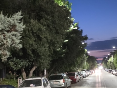 μα κοπούν τα δέντρα , καλύπτουν τα φώτα  Καθηγητού Ρωσσίδου