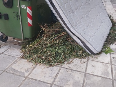 Κλαδια και στρωμα Αιγαίου