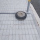 Τσιμεντενια ροδα Αιγαίου