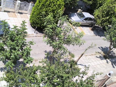Κοπή αυτοφυούς βλάστησης   Δρακοπούλου   ανάμεσα στην οδό Μετρών και Μικρουλεα.
