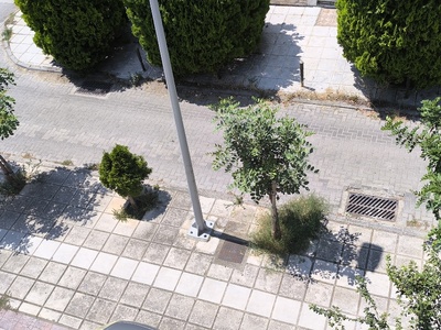 Κοπή αυτοφυούς βλάστησης   Δρακοπούλου   ανάμεσα στην οδό Μετρών και Μικρουλεα.