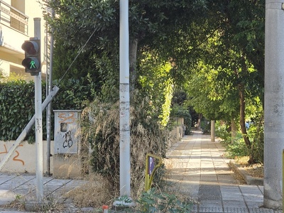 καθαρισμος ράμπα πεζών     έχει φυτρώσει μέχρι και συκιά	ρωσίδου με Τάκη Οικονομίδη,