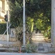 καθαρισμος ράμπα πεζών     έχει φυτρώσει μέχρι και συκιά ρωσίδου με Τάκη Οικονομίδη,