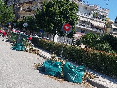 Παρατημένα κλαδεματα στο δρόμο   Μακροχωριου, στη διασταύρωση με Μιαούλη στη Κρήνη.