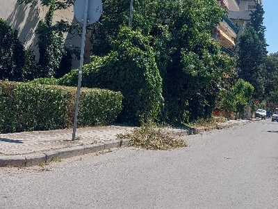 Παρατημένα κλαδεματα στο δρόμο   Μακροχωριου, στη διασταύρωση με Μιαούλη στη Κρήνη.