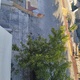 Ανάπλαση πεζοδρομίων: Καραβαγγέλη 54