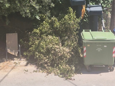 κλαδιά καναπέδες Ήρας