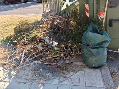 Μαζεψετα  κλαδιά Χαριλάου Τρικούπη