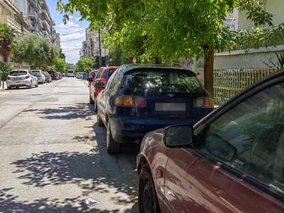 Κλαδεμα δενδρων   Αδραμυτιου με Ευελπιδου