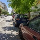 Κλαδεμα δενδρων   Αδραμυτιου με Ευελπιδου