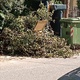 Ογκώδη αντικείμενα + κλαδιά   Ήρας