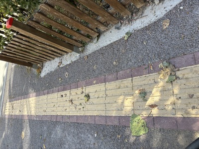 Καθαριότητα   Περικλέους
