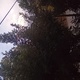 Επείγον αίτημα για κλάδεμα/κοπή δέντρων λόγω επικινδυνότητας (καλώδια ΔΕΔΔΗΕ) και αποκατάσταση οδικού φωτισμού στην οδό Αγίου Παντελεήμονος 10