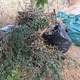 Τα εχετε ξεχασει  Χειμωνιδου