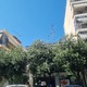 ΚΛΑΔΕΜΑ ΚΛΑΔΙΩΝ ΚΑΛΥΠΤΟΥΝ ΠΙΝΑΚΙΔΑ ΚΑΙ ΣΤΑΥΡΟ ΤΟΥ ΦΑΡΜΑΚΕΙΟ ΣΤΗΝ ΣΜΥΡΝΗΣ ΕΠΕΙΓΕΙ