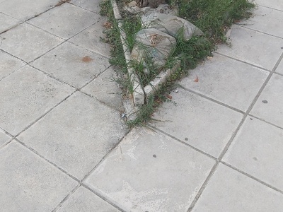 Μπαζα σε παρτερι  Εθνικής Αντιστάσεως