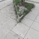 Μπαζα σε παρτερι  Εθνικής Αντιστάσεως