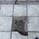 ΣΠΑΣΜΕΝΟ ΠΛΑΚΑΚΙ ΠΕΖΟΔΡΟΜΙΟΥ ΚΑΙ ΚΟΙΛΩΜΑ ΦΡΕΑΤΙΟΥ ΜΕ ΑΠΟΤΕΛΕΣΜΑ ΣΟΒΑΡΟΥ ΤΡΑΥΜΑΤΙΣΜΟΥ (ΚΑΤΑΓΜΑ)