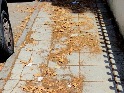 Επείγον καθαρισμός οδών Ι. Πασαλίδη