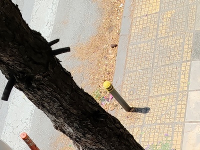 Επείγον καθαρισμός οδών Ι. Πασαλίδη