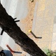 Επείγον καθαρισμός οδών Ι. Πασαλίδη
