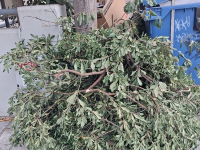 αμμεσα 	Μαζεψετα ....σκουπισμα