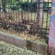 παρκο Αλησμονητων   κομμενα κλαδια εντος του παρκο για συλλογη