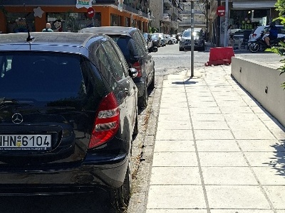 πτώμα γατας  Αιγαίου 5