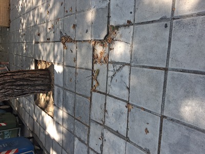 Σπασμενα  πλακακια  Ποντου 4-6