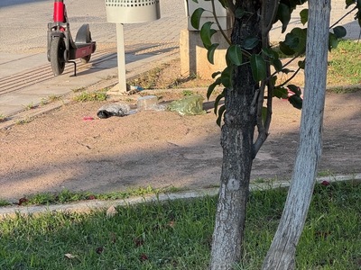 καθαρισμός πάρκου  	Σίμου Λιανίδη