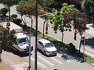 κλάδευση δέντρων 3 Αυγούστου