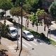 κλάδευση δέντρων 3 Αυγούστου