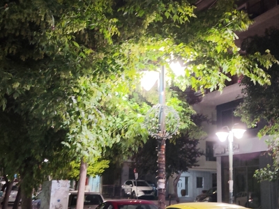 Κλάδεμα δέντρων επί της οδού Πασαλίδη, από το ύψος της οδού Μαρμαρά μέχρι την Προύσης