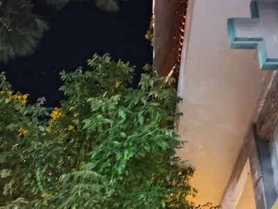 Κλάδεμα δέντρων επί της οδού Πασαλίδη, από το ύψος της οδού Μαρμαρά μέχρι την Προύσης