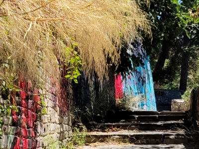 Κλάδεμα δέντρων επί της οδού Πασαλίδη, από το ύψος της οδού Μαρμαρά μέχρι την Προύσης
