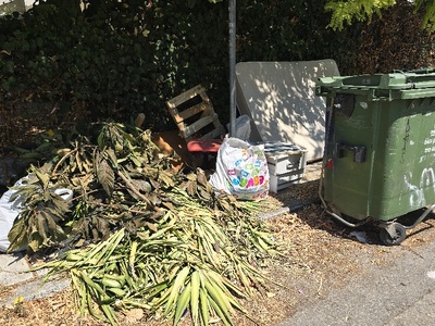 ογκωδη αντικειμενα και κλαδια  	Αφροδίτης