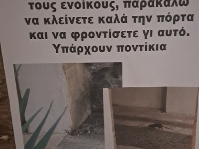 καταπολέμηση τρωκτικών  Κομνηνών στο ύψος του grand μασουτη (καθώς και στους γύρω δρόμους)