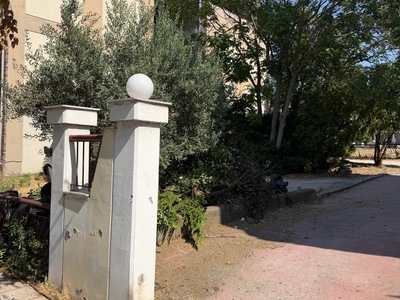 Αποκομιδή Κλαδιών Αλκυόνος